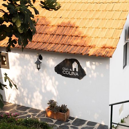 Casa Da Colina Villa Amarante Eksteriør billede
